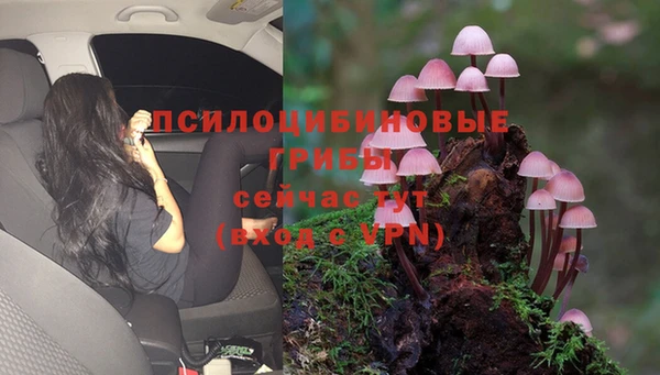mdpv Заволжье