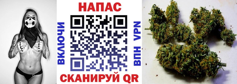 купить наркотики цена  Калач  Канабис планчик 
